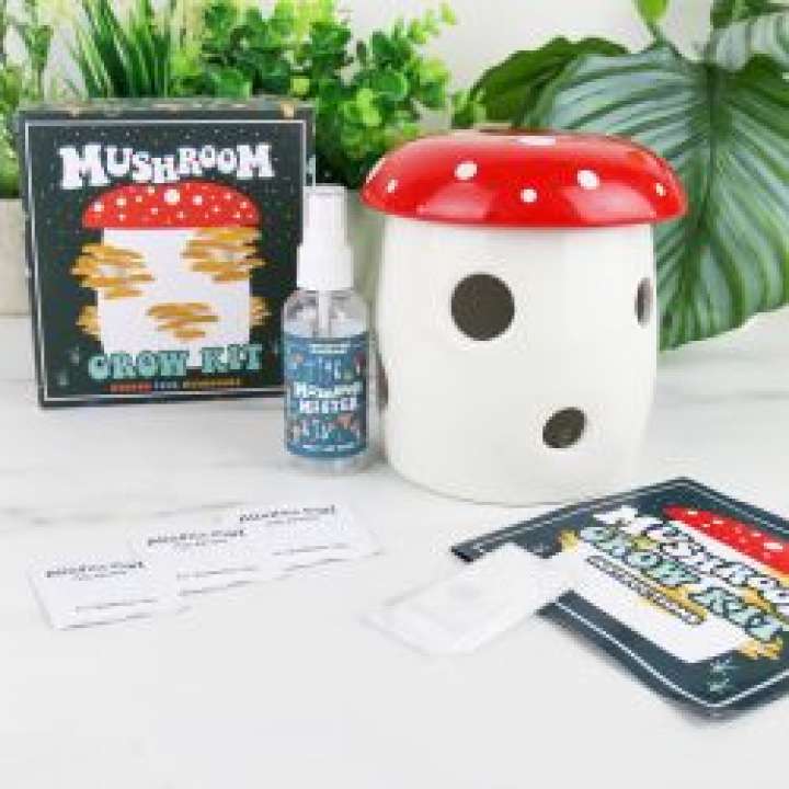 Priser på Gift Republic Grow Your Own Kit - Mushrooms - Diverse