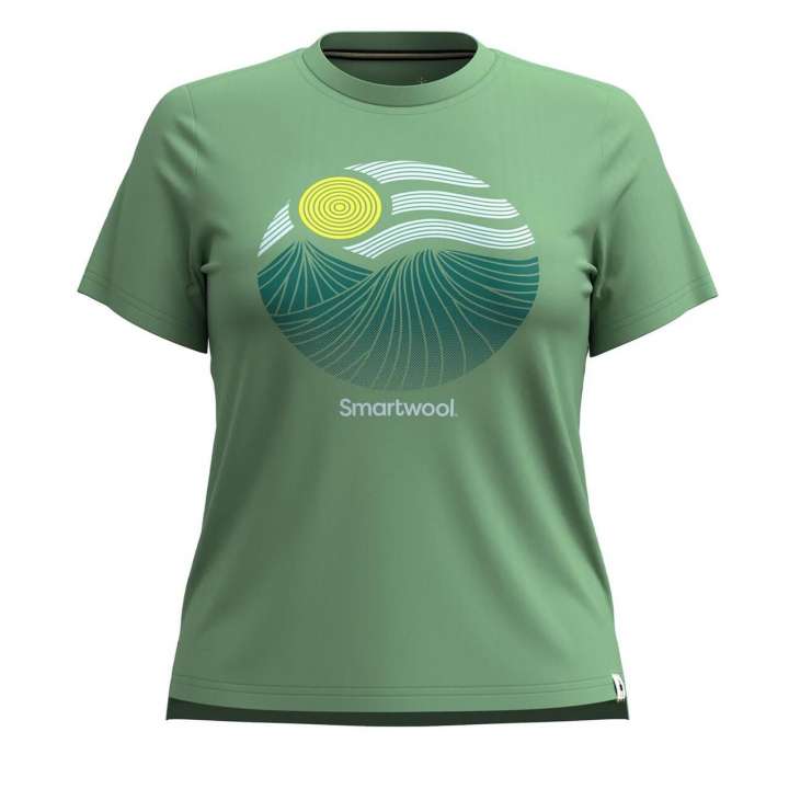 Priser på Smartwool Womens Horizon View Graphic Short Sleeve (Beige (HONEY DEW) Medium)