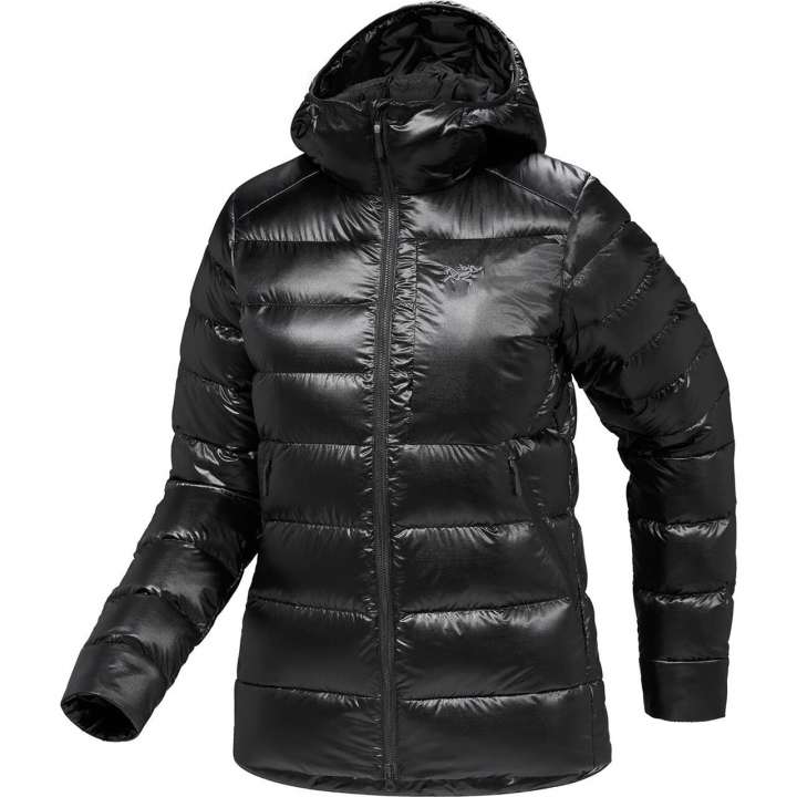 Priser på Arcteryx Womens Cerium SV Hoody (Sort (BLACK) Medium)