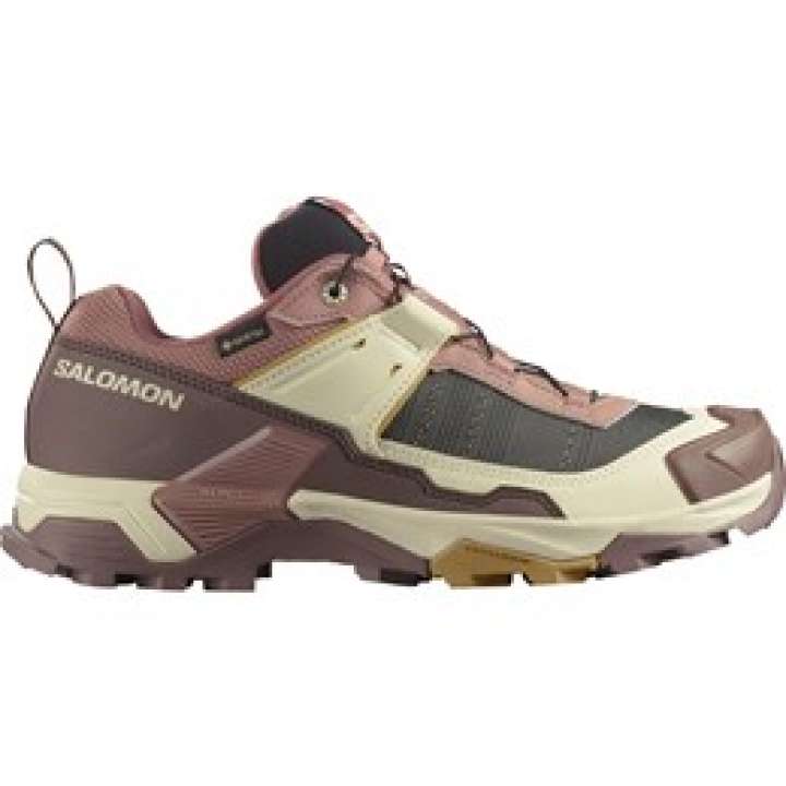 Priser på Salomon X Ultra 5 GTX Dame