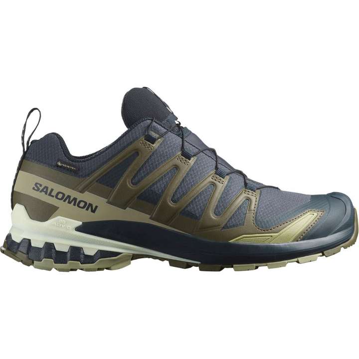 Priser på Salomon Mens XA Pro 3D V9 GTX (Grøn (INDIA INK/OLIVE NIGHT/ALOE W) 42)