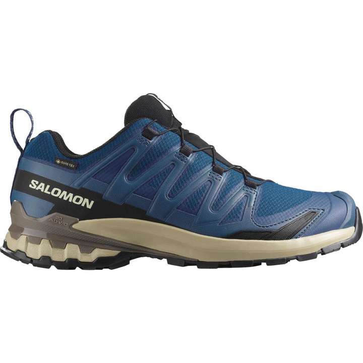 Priser på Salomon Mens XA Pro 3D V9 GTX (Blå (POSEIDON/WHITE PEPPER/FALCON) 42)